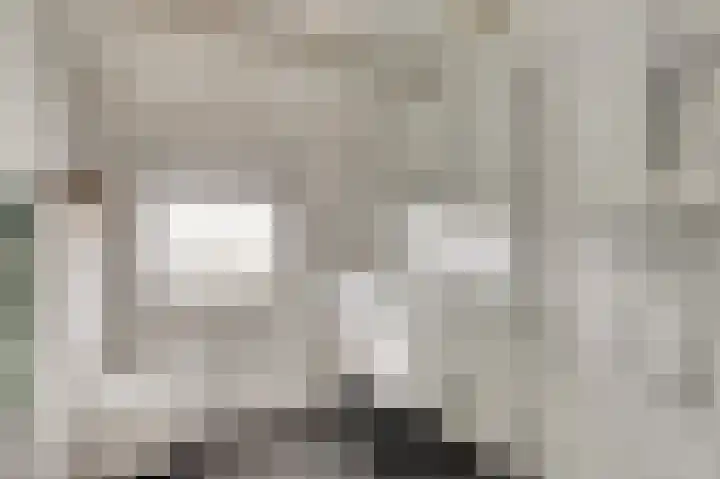 Pieter de Hooghstraat 7 Bergen L thumbnail 22