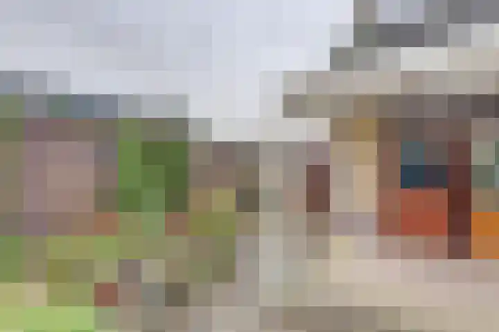 Pieter de Hooghstraat 7 Bergen L thumbnail 24