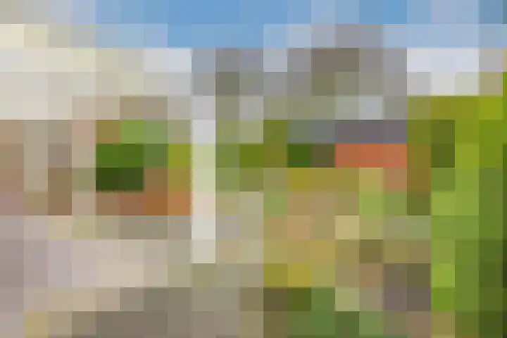 Pieter de Hooghstraat 7 Bergen L thumbnail 25