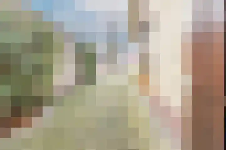 Pieter de Hooghstraat 7 Bergen L thumbnail 27