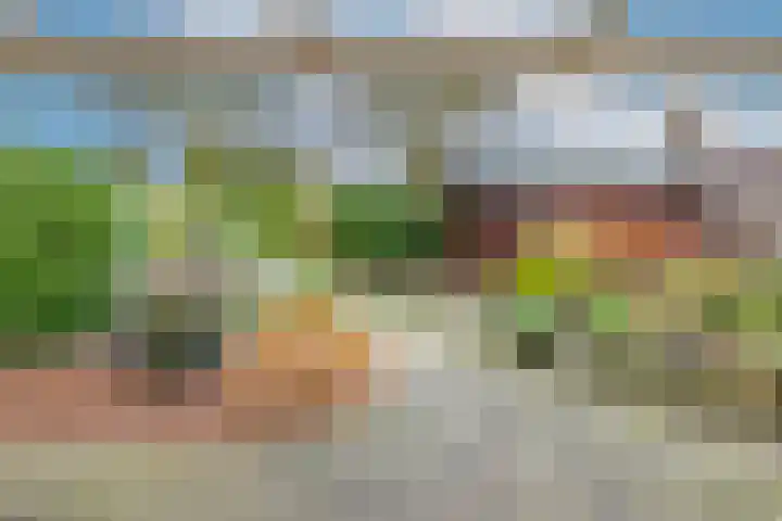 Pieter de Hooghstraat 7 Bergen L thumbnail 31