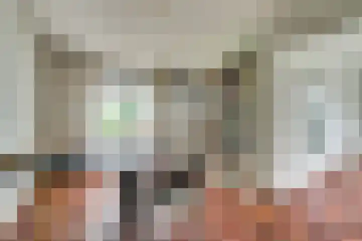 Pieter de Hooghstraat 7 Bergen L thumbnail 9