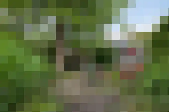 Pieter de Hooghstraat 7 Heerhugowaard thumbnail 32