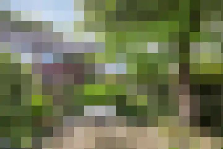 Pieter de Hooghstraat 7 Heerhugowaard thumbnail 33