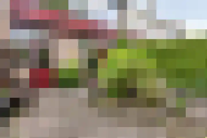 Pieter de Hooghstraat 7 Heerhugowaard thumbnail 34