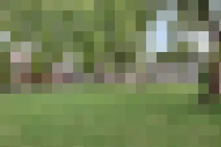 Pieter de Hooghstraat 7 Heerhugowaard thumbnail 35