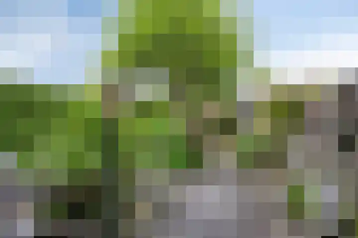 Pieter de Hooghstraat 7 Heerhugowaard thumbnail 6