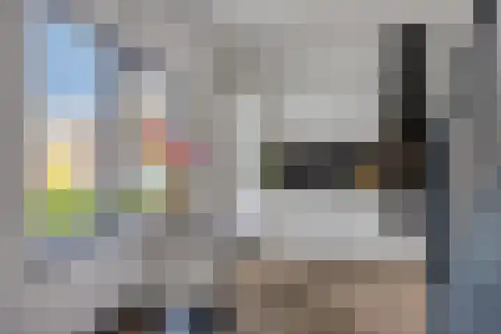 Pieter de Hooghstraat 71 B Maarssen thumbnail 13