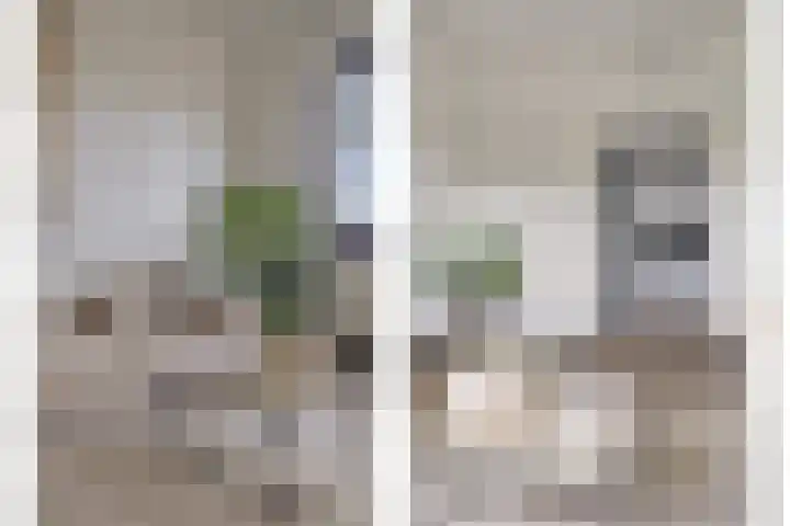 Pieter de Hooghstraat 71 B Maarssen thumbnail 26