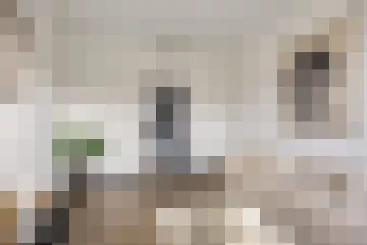 Pieter de Hooghstraat 71 B Maarssen thumbnail 9