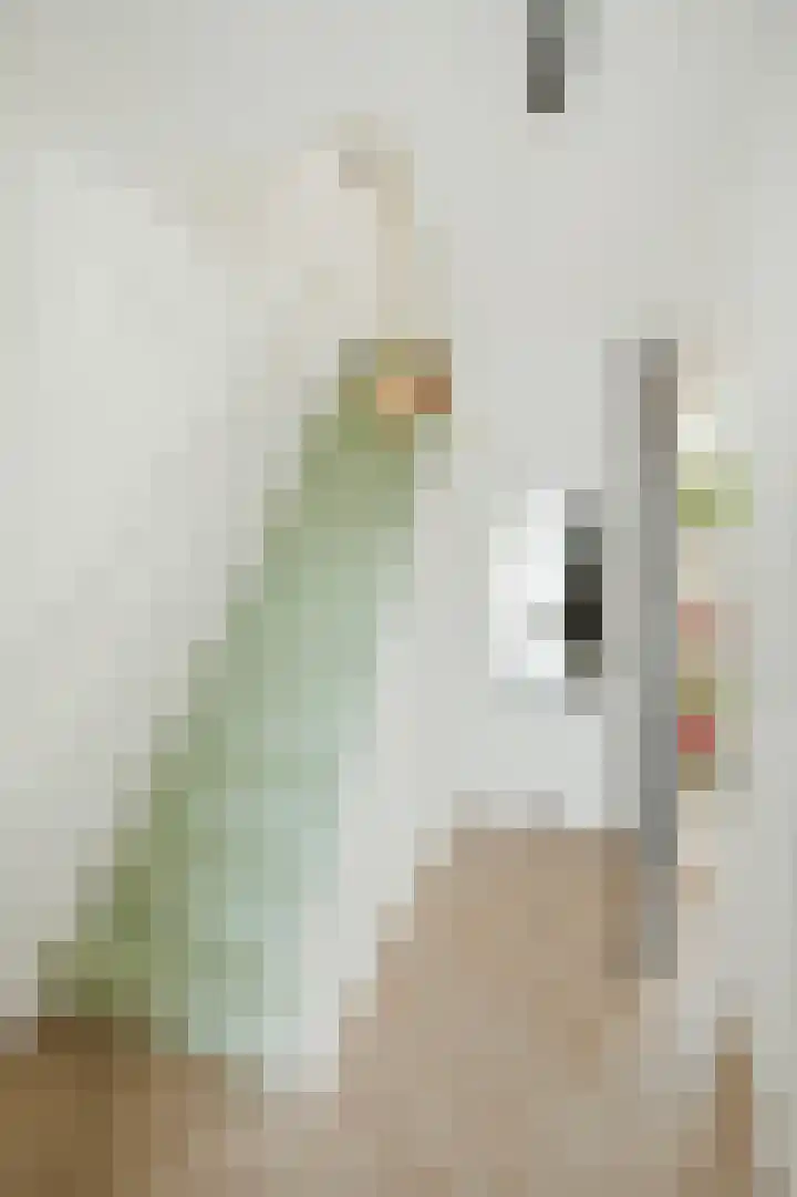 Pieter de Hooghstraat 71 Deventer thumbnail 15