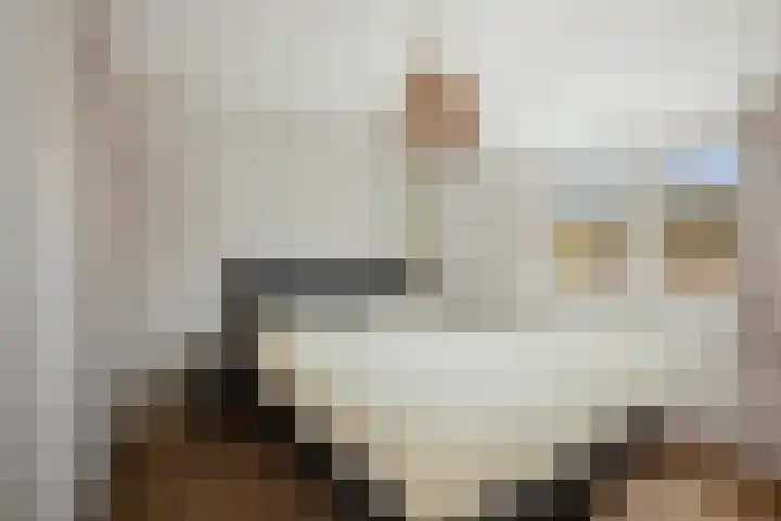 Pieter de Hooghstraat 71 Deventer thumbnail 18