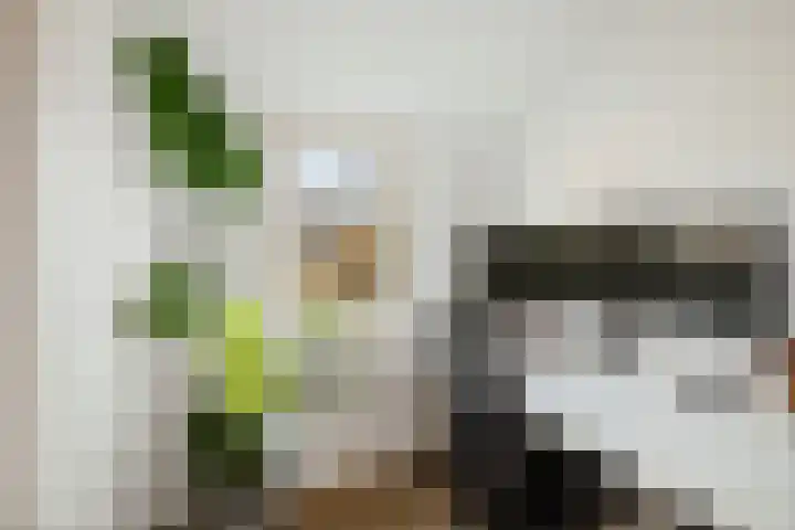 Pieter de Hooghstraat 71 Deventer thumbnail 24