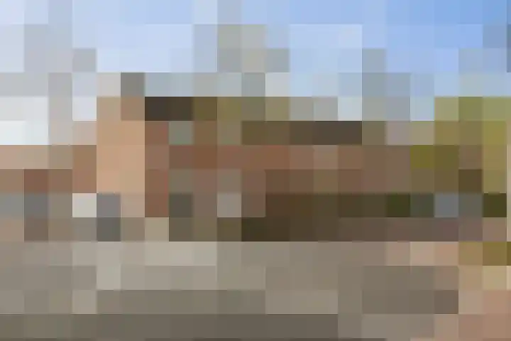 Pieter de Hooghstraat 71 Deventer thumbnail 29