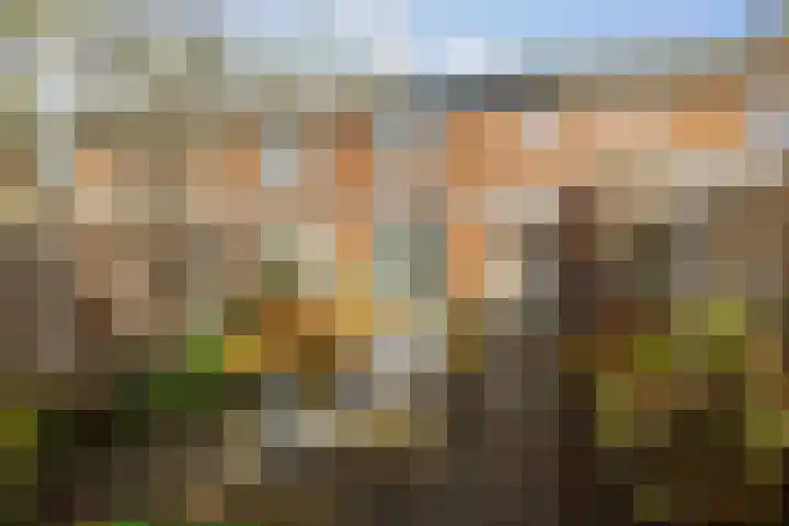 Pieter de Hooghstraat 71 Deventer thumbnail 31