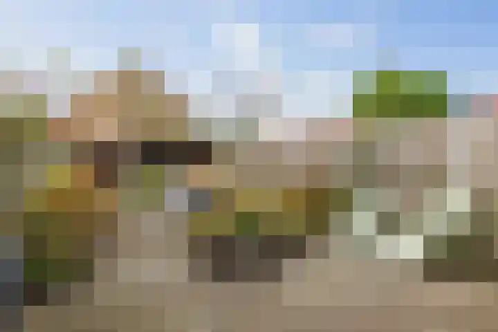 Pieter de Hooghstraat 71 Deventer thumbnail 33