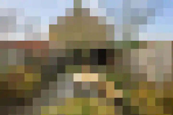 Pieter de Hooghstraat 71 Deventer thumbnail 35