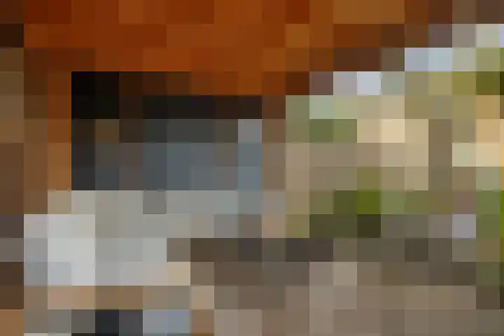 Pieter de Hooghstraat 71 Deventer thumbnail 37