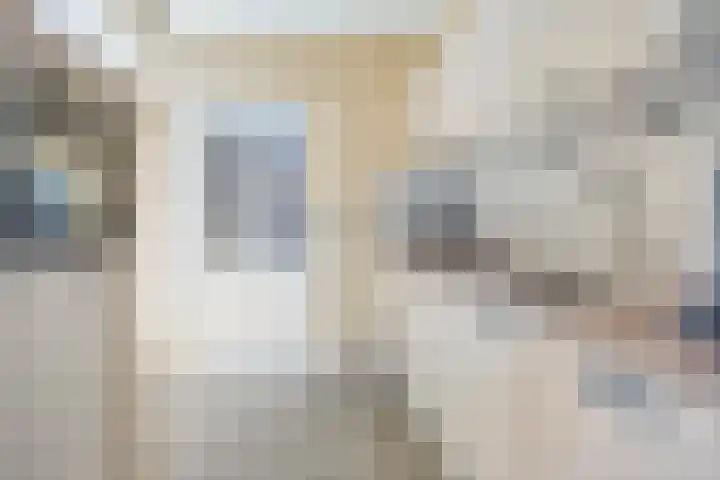Pieter de Hooghstraat 8 Terneuzen thumbnail 10