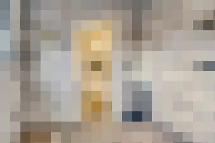 Pieter de Hooghstraat 8 Terneuzen thumbnail 13