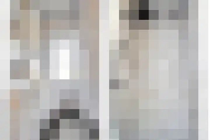 Pieter de Hooghstraat 8 Terneuzen thumbnail 20