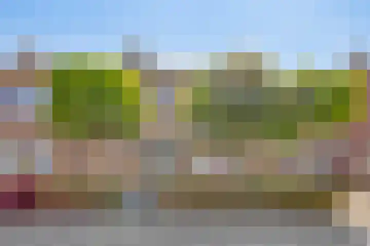 Pieter de Hooghstraat 8 Terneuzen thumbnail 23