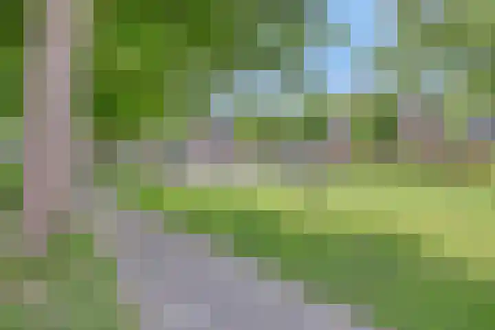 Pieter de Hooghstraat 8 Terneuzen thumbnail 25