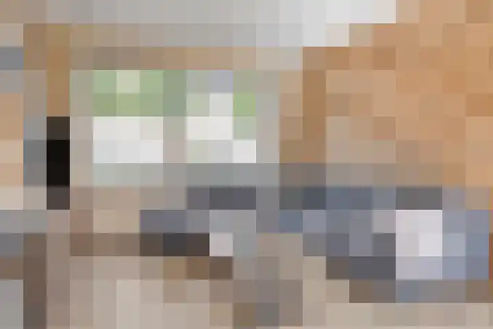Pieter de Hooghstraat 8 Terneuzen thumbnail 5