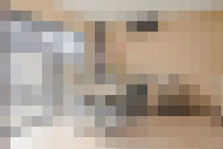Pieter de Hooghstraat 8 Terneuzen thumbnail 8