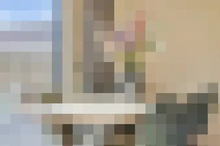 Pieter de Hooghstraat 8 Terneuzen thumbnail 9