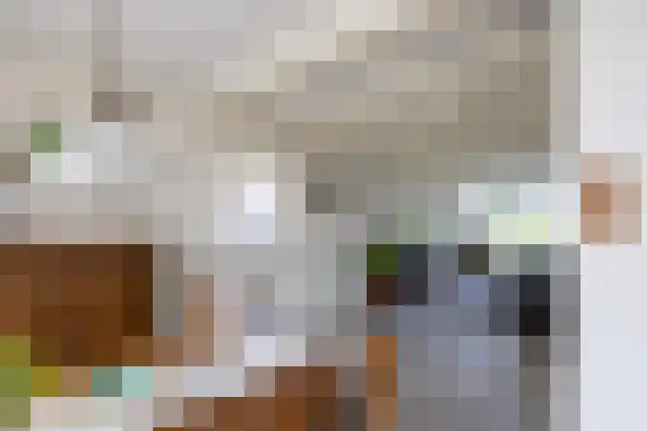 Pieter de Hooghstraat 9 Bergen L thumbnail 10