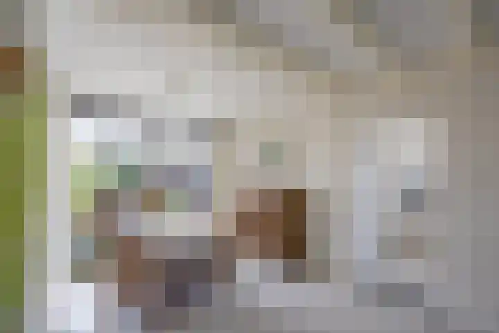 Pieter de Hooghstraat 9 Bergen L thumbnail 11
