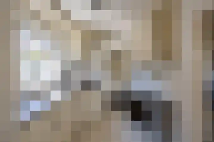 Pieter de Hooghstraat 9 Bergen L thumbnail 14
