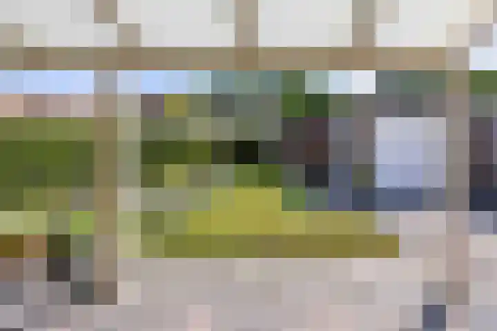 Pieter de Hooghstraat 9 Bergen L thumbnail 26
