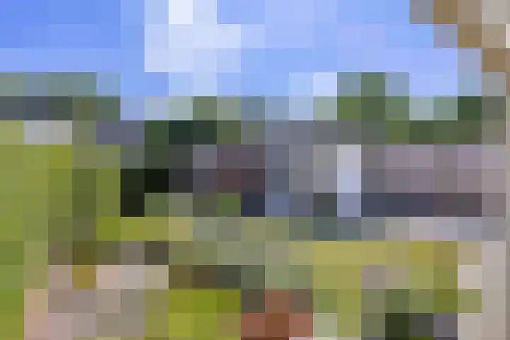 Pieter de Hooghstraat 9 Bergen L thumbnail 4