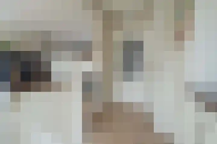 Pieter de Hooghstraat 9 Heemskerk thumbnail 10