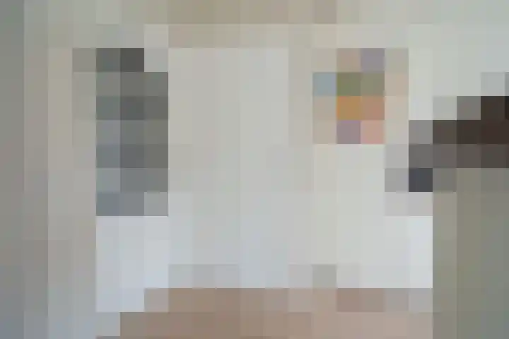 Pieter de Hooghstraat 9 Heemskerk thumbnail 11