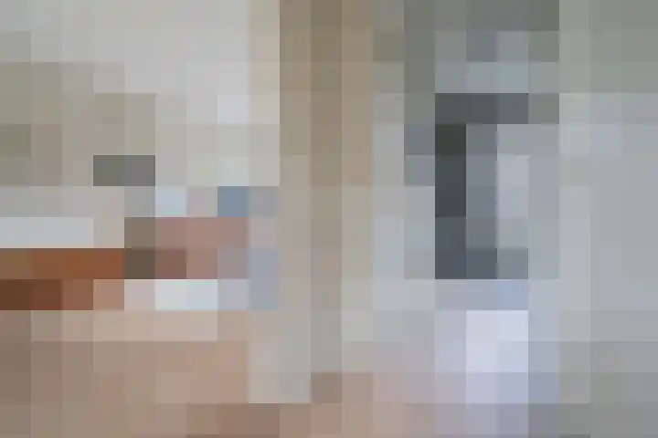 Pieter de Hooghstraat 9 Heemskerk thumbnail 12