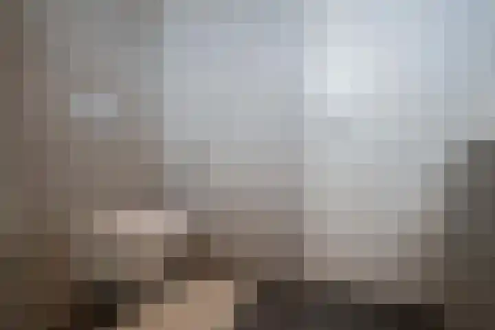Pieter de Hooghstraat 9 Heemskerk thumbnail 20