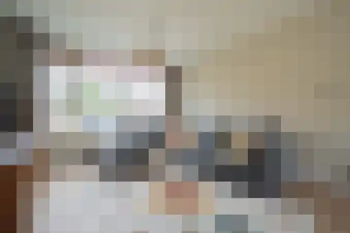 Pieter de Hooghstraat 9 Heemskerk thumbnail 4