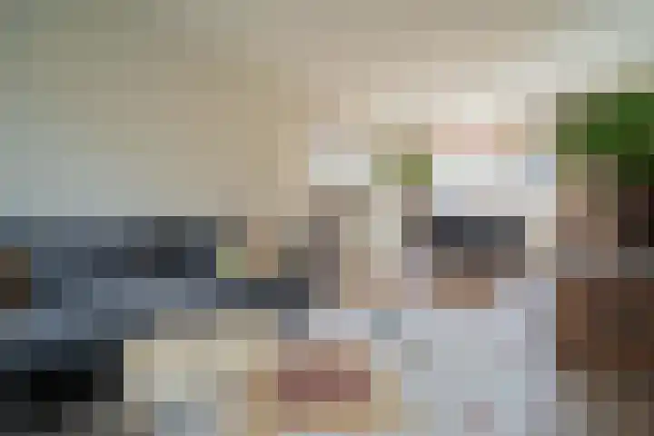 Pieter de Hooghstraat 9 Heemskerk thumbnail 5