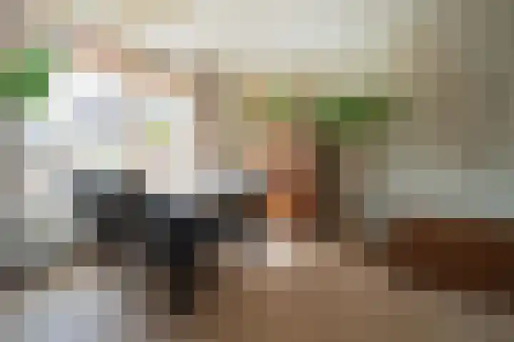 Pieter de Hooghstraat 9 Heemskerk thumbnail 7