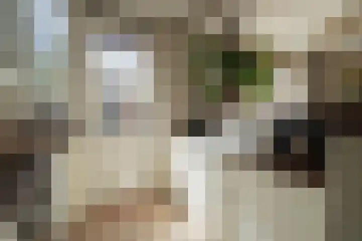 Pieter de Hooghstraat 9 Heemskerk thumbnail 8