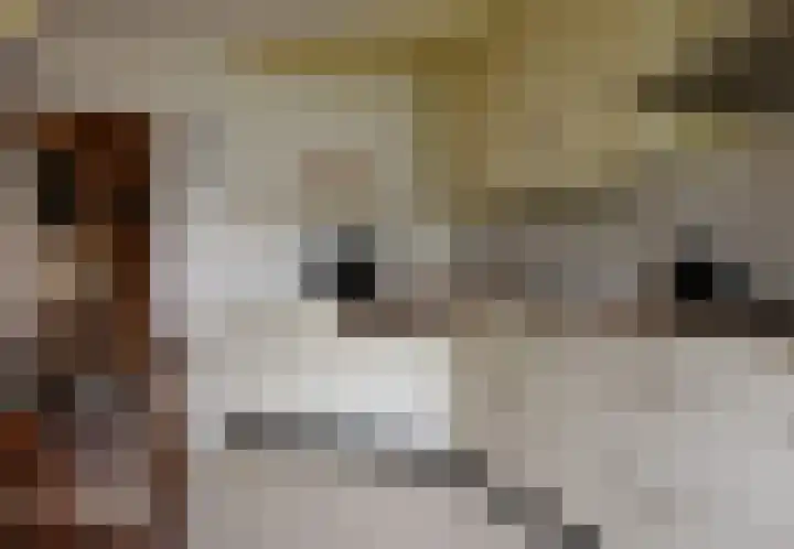 Pieter de Hooghstraat 9 Kerkrade thumbnail 13