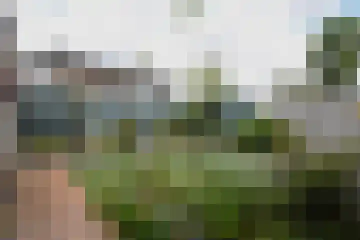 Pieter de Hooghstraat 9 Kerkrade thumbnail 21