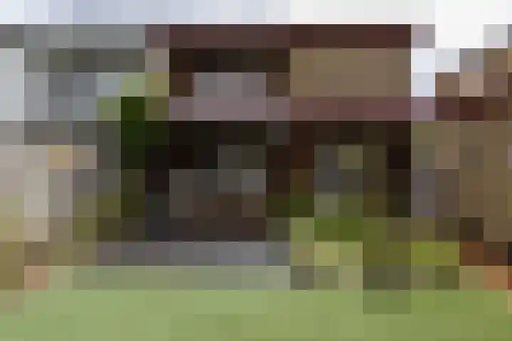Pieter de Hooghstraat 9 Kerkrade thumbnail 22