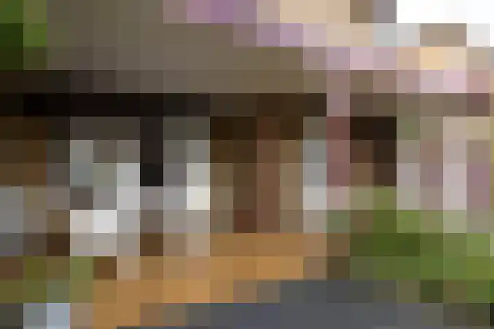 Pieter de Hooghstraat 9 Kerkrade thumbnail 23