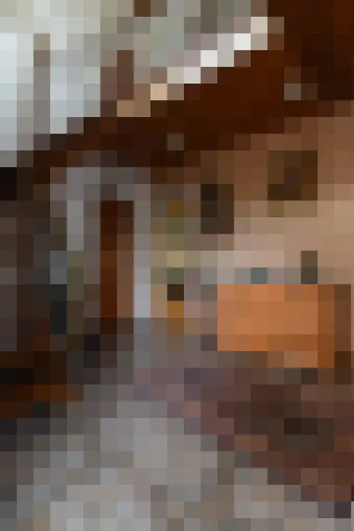 Pieter de Hooghstraat 9 Kerkrade thumbnail 4