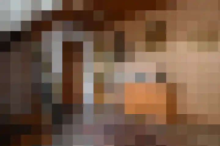 Pieter de Hooghstraat 9 Kerkrade thumbnail 5
