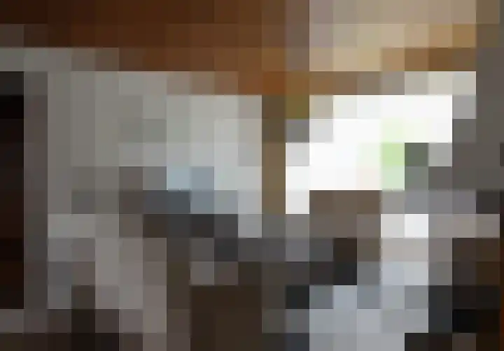 Pieter de Hooghstraat 9 Kerkrade thumbnail 7
